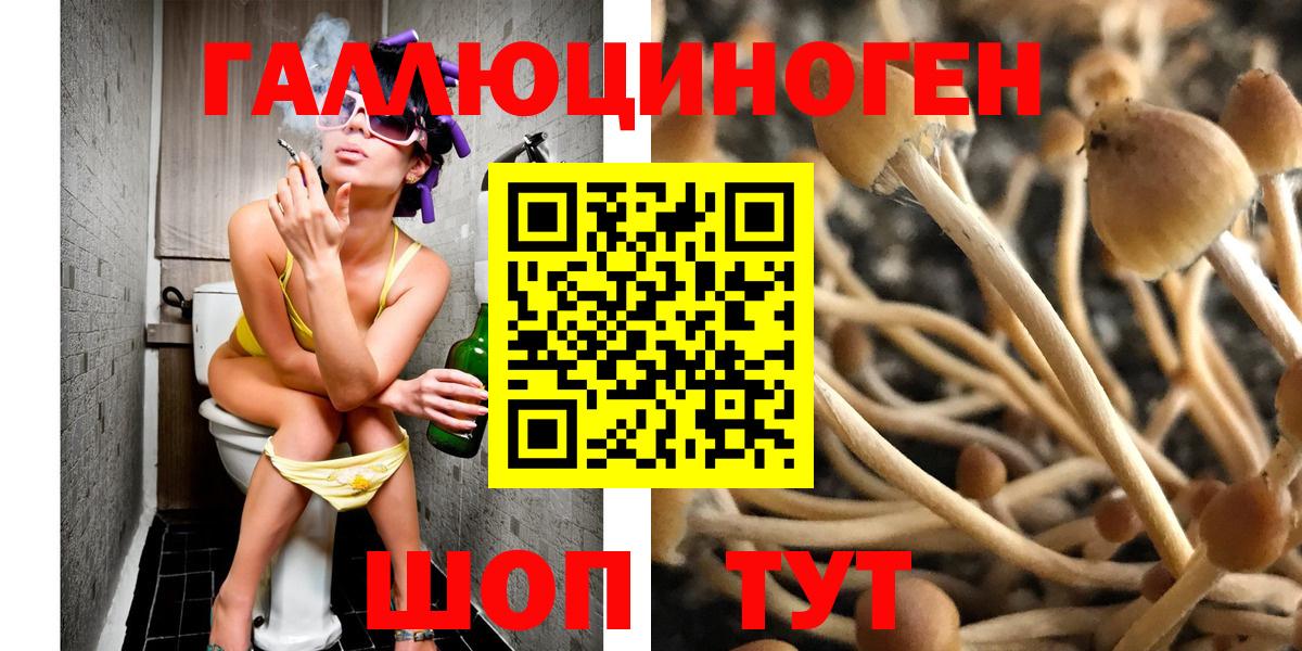 Псилоцибиновые грибы прущие грибы Искитим