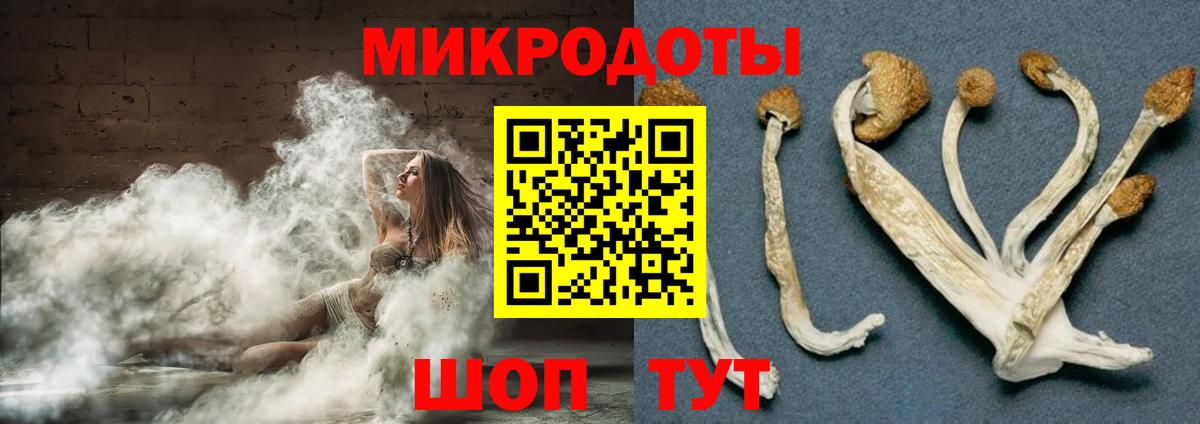 Искитим  Псилоцибиновые грибы Psilocybine cubensis  Галлюциногенные грибы MAGIC MUSHROOMS  Вход с VPN 